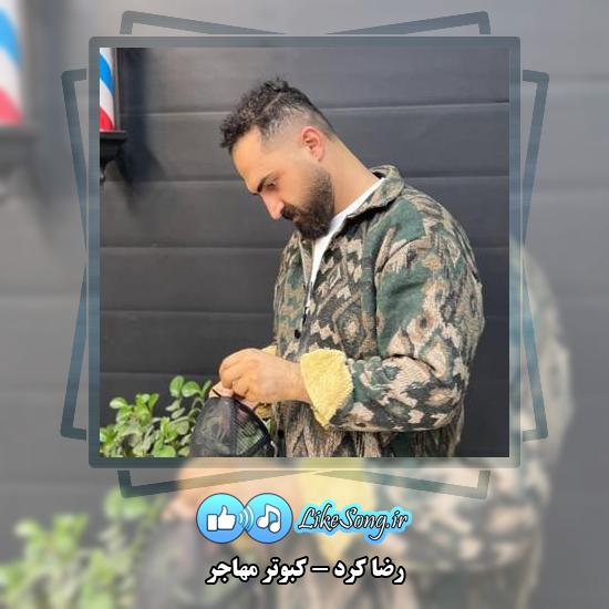 دانلود آهنگ رضا کرد کبوتر مهاجر